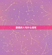 属猴的人与什么相克，属猴跟什么生肖相克
