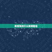 属相兔和什么属相最佳，属兔和什么生肖最好？