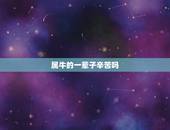 属牛的一辈子辛苦吗，属牛的人很累吗