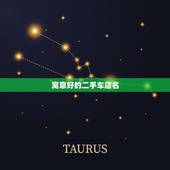 寓意好的二手车店名，如何给二手车店取名