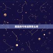 属鼠的今年运势怎么样，2017年属鼠人的全年运势
