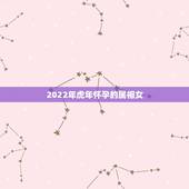 2022年虎年怀孕的属相女，2022年适合添丁的属相