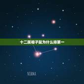十二属相子鼠为什么排第一，鼠为什么排在十二生肖的第一位