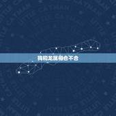 狗和龙属相合不合，属龙和属狗可以做夫妻吗？