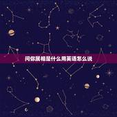 问你属相是什么用英语怎么说，当别人问你的属相时，你该怎么用英语完整回答