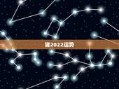 猪2022运势，2022年属猪人的全年运势