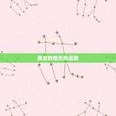 属虎的明天的运势，今年属虎运势