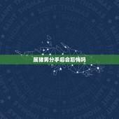 属猪男分手后会后悔吗，怎样抓住属猪男人的心