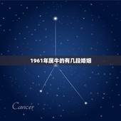 1961年属牛的有几段婚姻，属牛男有几段婚姻