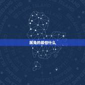 属兔的最怕什么，属兔带什么吊坠