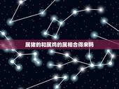 属猪的和属鸡的属相合得来吗，属猪和属鸡的合不合财运亨通