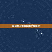 属鼠的人婚姻在哪个属相好，属鼠的与什么属相结婚最好