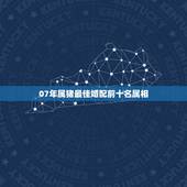 07年属猪最佳婚配前十名属相，93年生的人和属什么生肖的相配