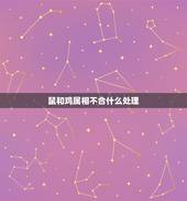 鼠和鸡属相不合什么处理，属鼠与属鸡属相合不合