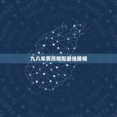 九八年男孩婚配最佳属相，98年属虎的属相婚配表
