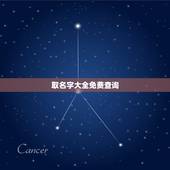 取名字大全免费查询，免费取名字大全男孩