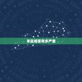 羊鼠相害有多严重，鼠和羊谁会克死对方