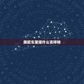 属蛇车里摆什么吉祥物，属蛇的车内摆什么件