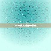1988属龙婚配99属兔，88年属龙男和99年属兔女结婚合适吗？父母不