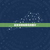 富贵吉祥如意花的图片，哪些花是象征着吉祥如意