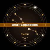 属牛和什么属相不配婚最好，属牛的找什么属相的对象最好
