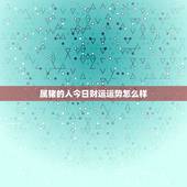 属猪的人今日财运运势怎么样