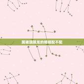 属猪跟属龙的婚姻配不配，为什么说属龙人33岁最苦