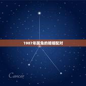 1987年属兔的婚姻配对，1987年属兔人2022 年运势运程
