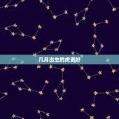 几月出生的虎更好，98年的虎运势如何