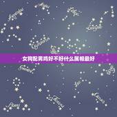 女狗配男鸡好不好什么属相最好，属狗的(女)和属鸡的(男)是不是一定不好