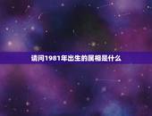 请问1981年出生的属相是什么，1981年出生的人属相是什么？