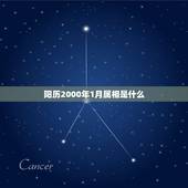 阳历2000年1月属相是什么，阳历2000年01月01日出生得人是属龙