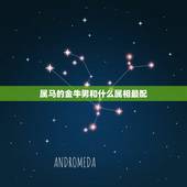 属马的金牛男和什么属相最配，属马的最适合和什么属相的在一起！