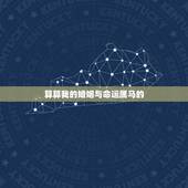 算算我的婚姻与命运属马的，属马人的婚姻与命运90年8月13