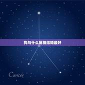 狗与什么属相结婚最好，属狗的人和什么属相最好结婚？