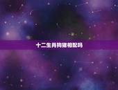 十二生肖狗猪相配吗，十二生肖配对狗猪能在一起么