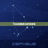 1986年属虎36岁本命年，属虎本命年要注意什么