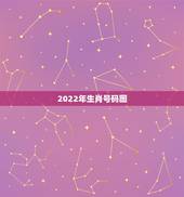 2022年生肖号码图，2022 年生肖表完整版
