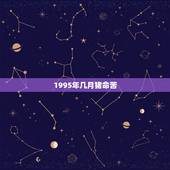 1995年几月猪命苦，95年属猪命里有儿子吗