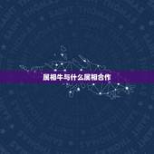 属相牛与什么属相合作，属牛的人与什么属相的人合伙做生意好