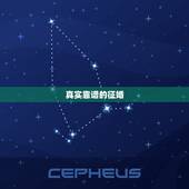 真实靠谱的征婚，求一个不是骗人的真实婚恋网站，本人单身，被骗的次数太多