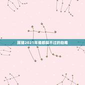 属猪2021年谁都躲不过的劫难，属猪的2021年有灾是真是假？