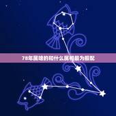 78年属啥的和什么属相最为般配，1978年属马的和属什么的最相配？