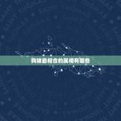狗猪最相合的属相有哪些，属相属狗和属猪的相不相生