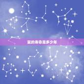鼠的寿命是多少年，鼠寿命是多少年
