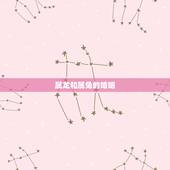 属龙和属兔的婚姻，属兔和什么属相最配