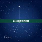 2022年有灾的日柱，辛酉日柱精论