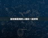 鼠和猪属相的人相处一起好吗，属猪的人和属鼠的人能做朋友吗？