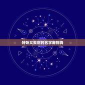 好听又聚财的名字宠物狗，给狗狗起个可爱好听文雅的名字。