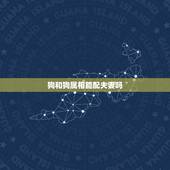 狗和狗属相能配夫妻吗，狗和狗在一起幸福吗